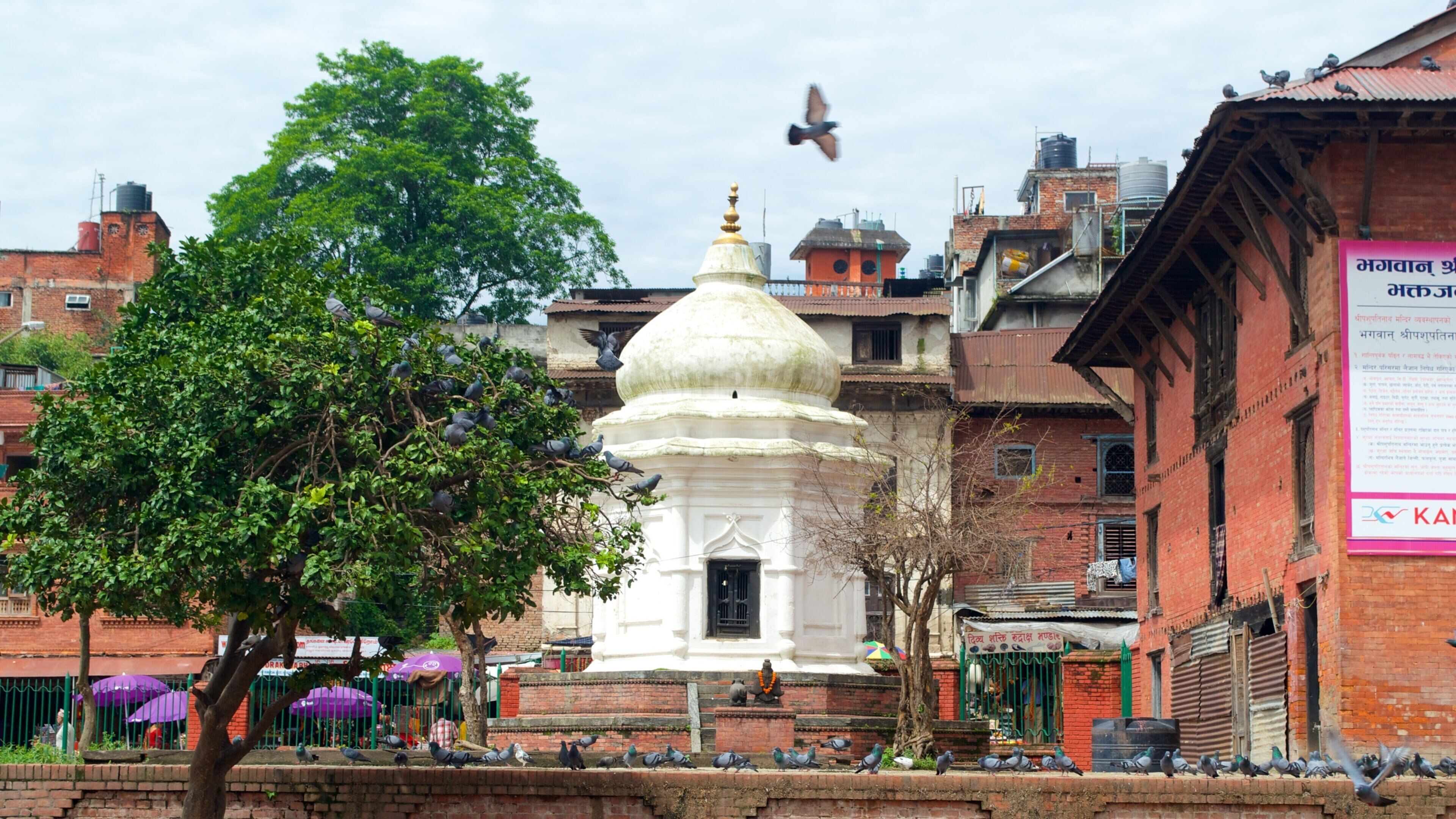 A white temple with a dome, surrounded by brick buildings and a tree.