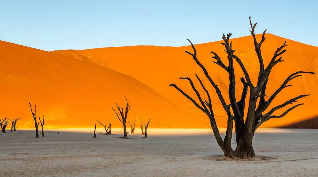 Namib-Naukluft nationalpark
