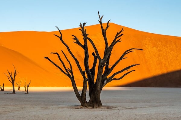 Dead acacia Trees and red dunes in Deadvlei. Sossusvlei. Namib-Naukluft National Park, Namibia.