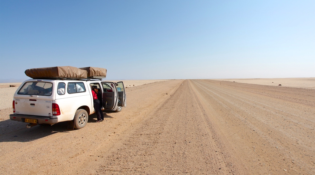 骷髏海岸國家公園 呈现出 沙漠風景, 寧靜風景 和 越野駕駛