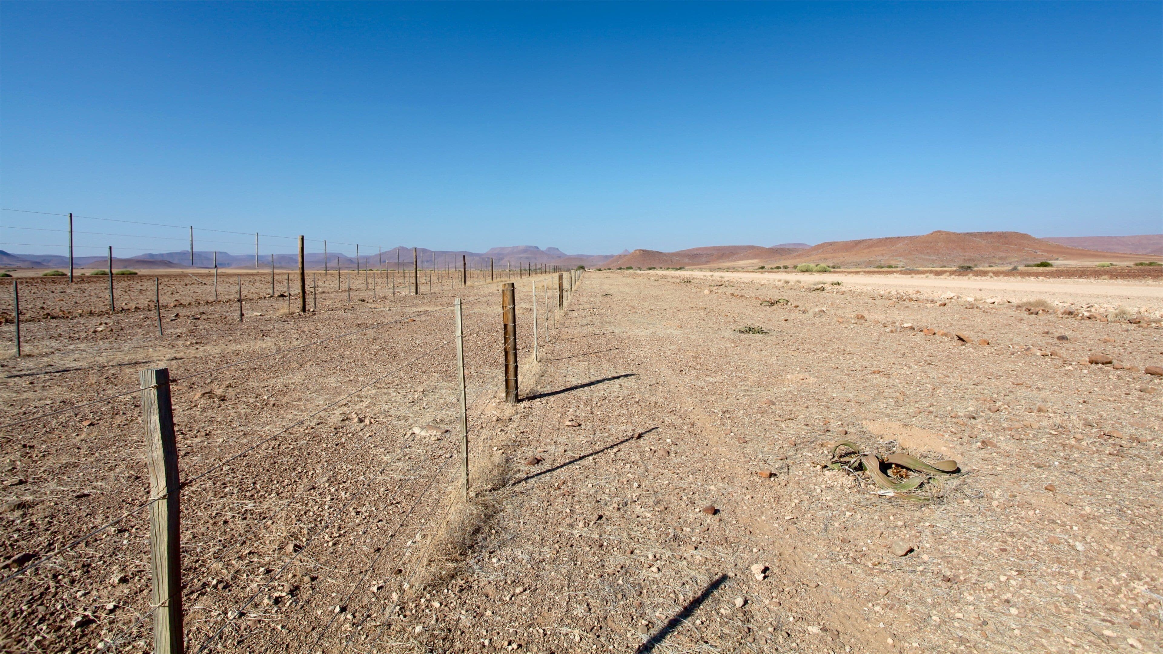 Skeleton Coast National Park