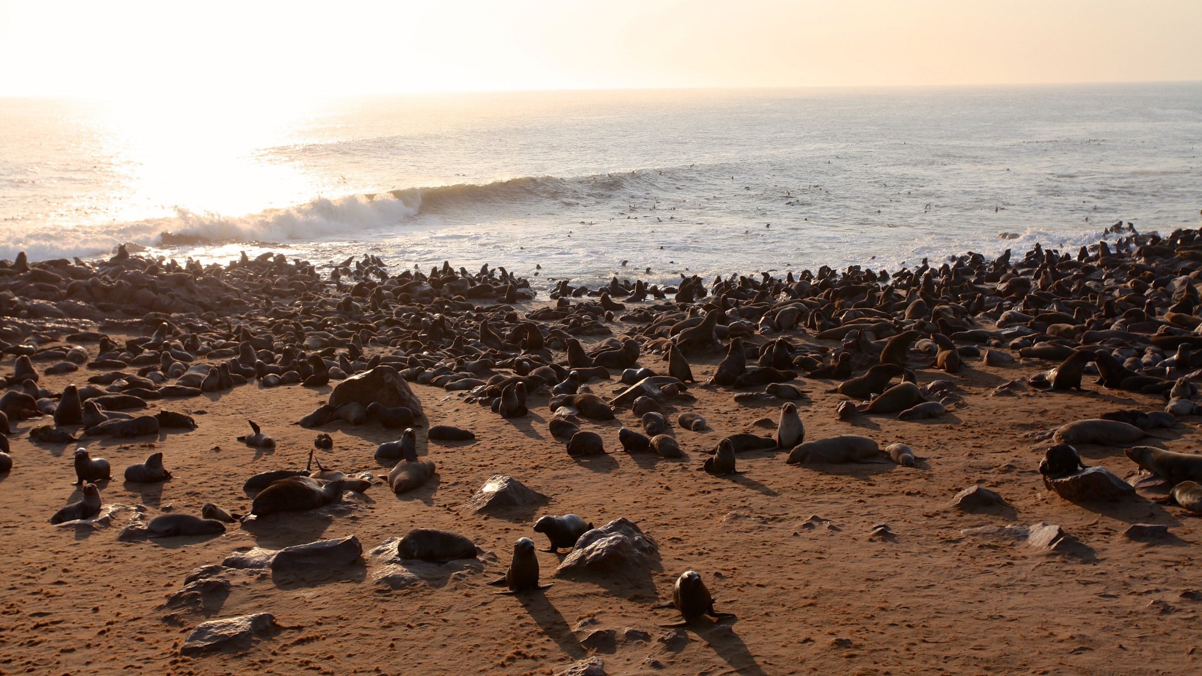 Skeleton Coast National Park