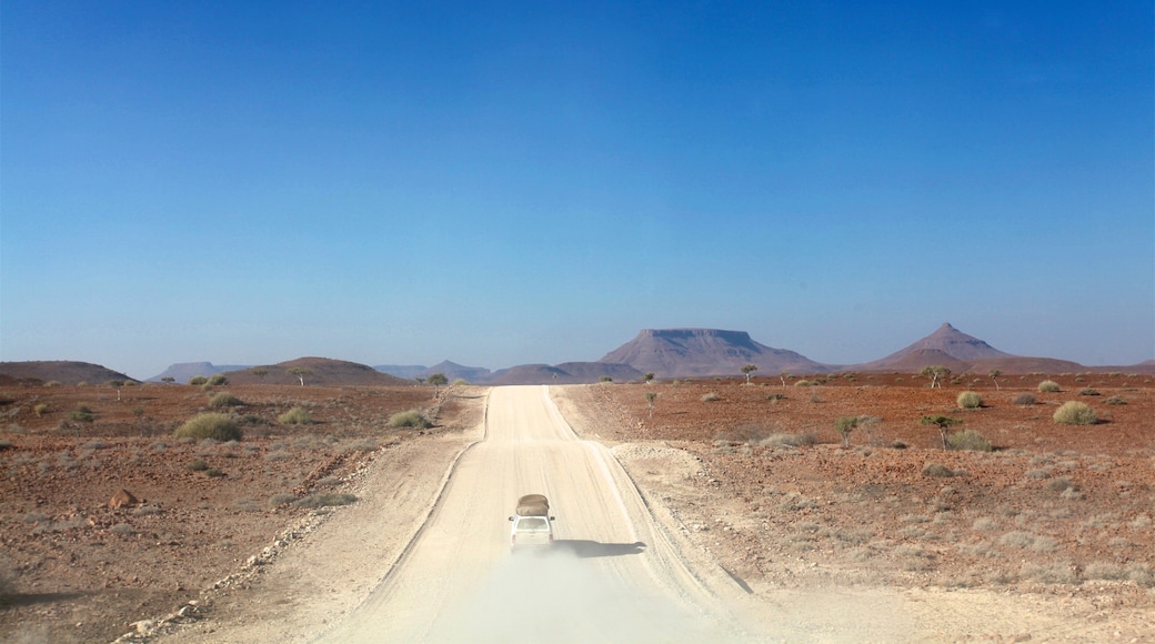 Skeleton Coast National Park which includes tranquil scenes, 4 wheel driving and landscape views