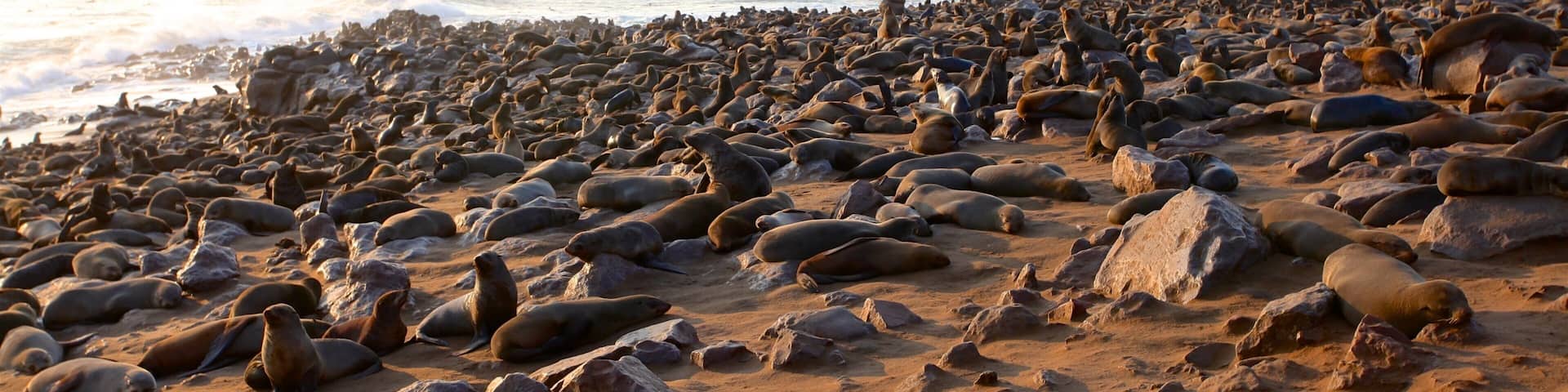 Skeleton Coast National Park