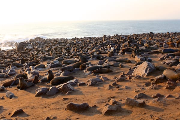 Skeleton Coast National Park