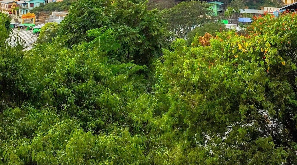 The views of beautiful Mount Popa , old volcano mountain as Mount Popa , so Mount Popa is a volcano 1518 meters ( 4981 feet ) above sea level and located in central Burma .