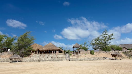 Tofon ranta joka esittää yleiset rantanäkymät, hiekkaranta ja trooppiset näkymät