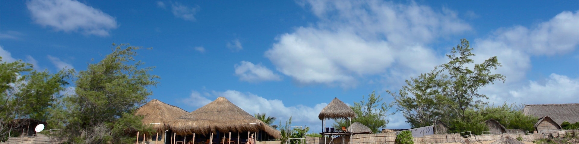 Praia do Tofo que inclui paisagens litorâneas, uma praia e cenas tropicais