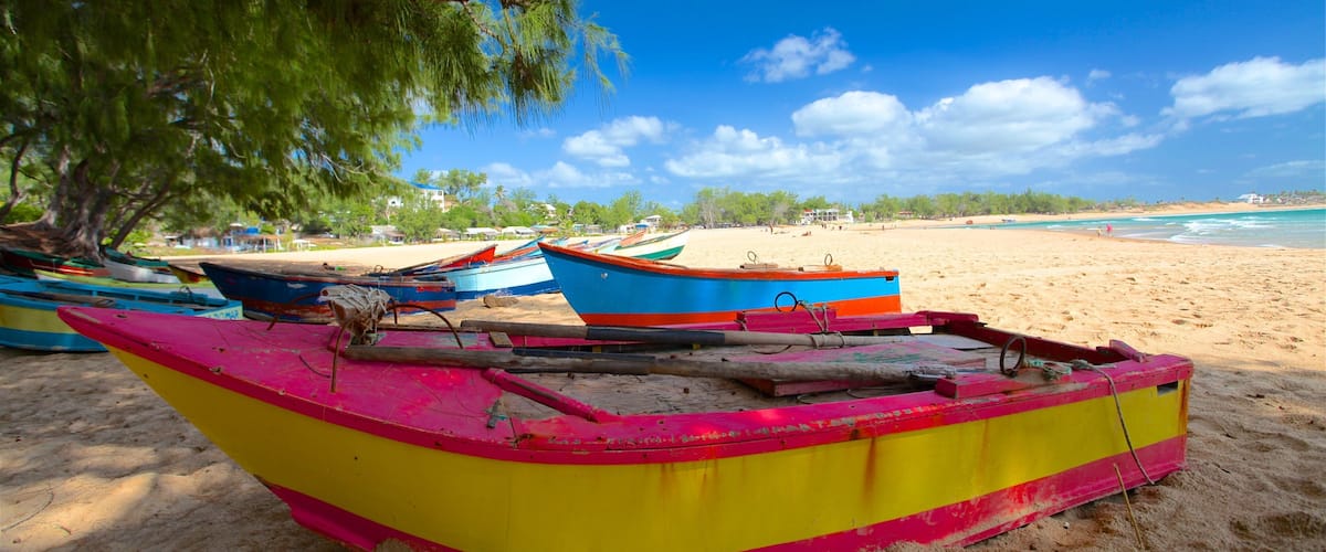 Bãi biển Tofo trong đó bao gồm cảnh bờ biển và bãi biển cát