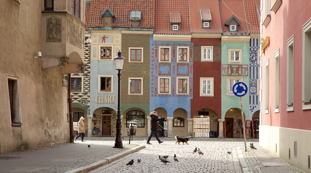 Stary Rynek ofreciendo vida de las aves