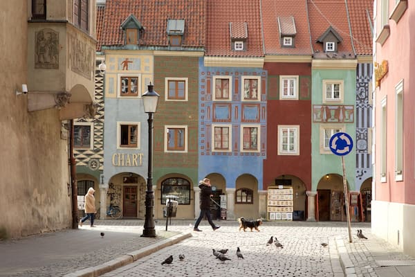 旧市場広場 どの含み 鳥