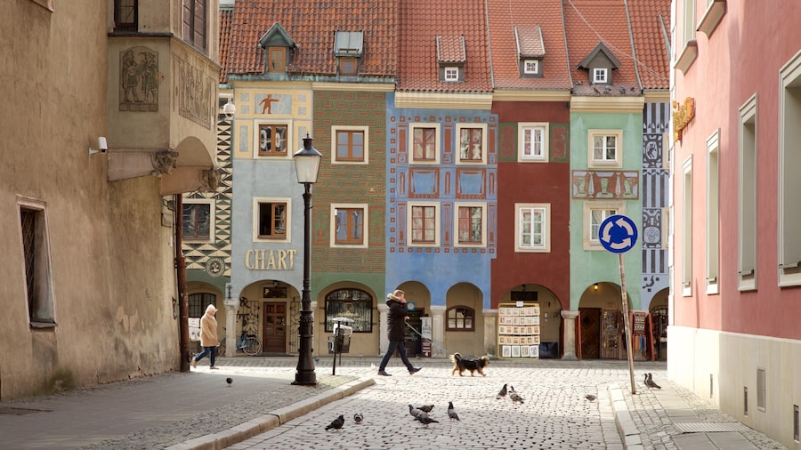 Stary Rynek featuring bird life