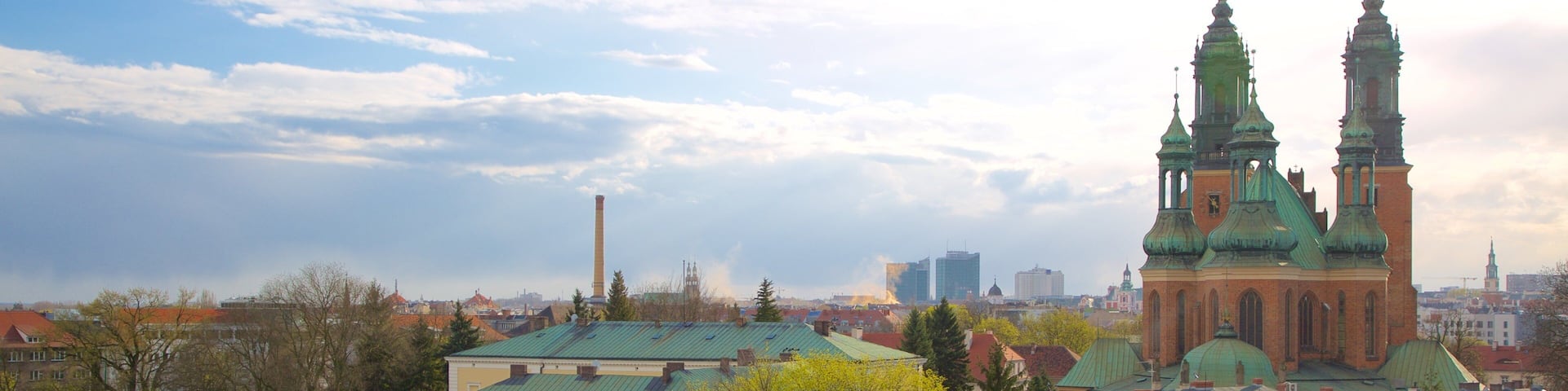 Catedral y Basílica de San Pedro y San Pablo ofreciendo una ciudad, una iglesia o catedral y elementos del patrimonio