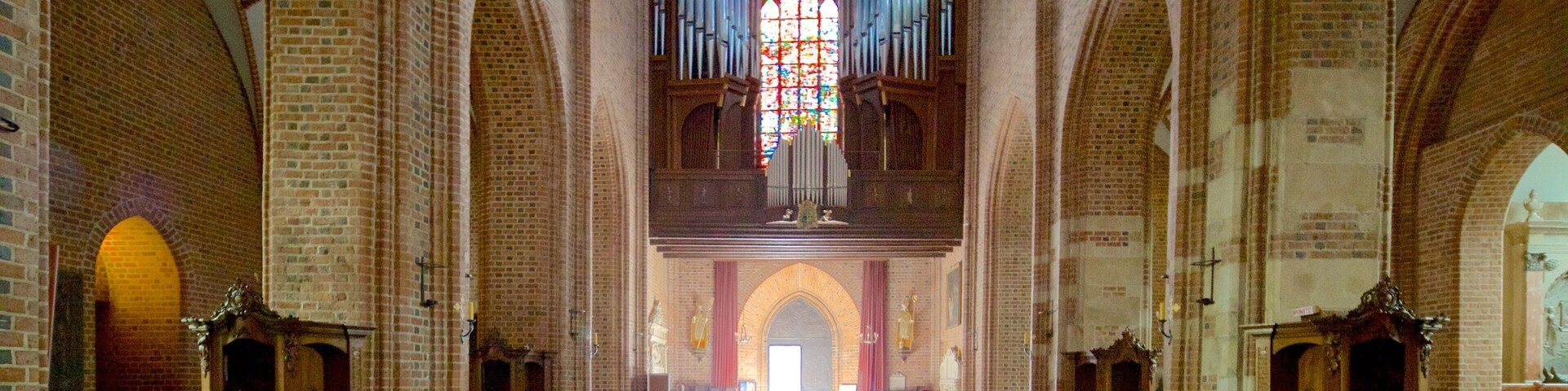 Catedral y Basílica de San Pedro y San Pablo ofreciendo una iglesia o catedral, vista interna y elementos patrimoniales