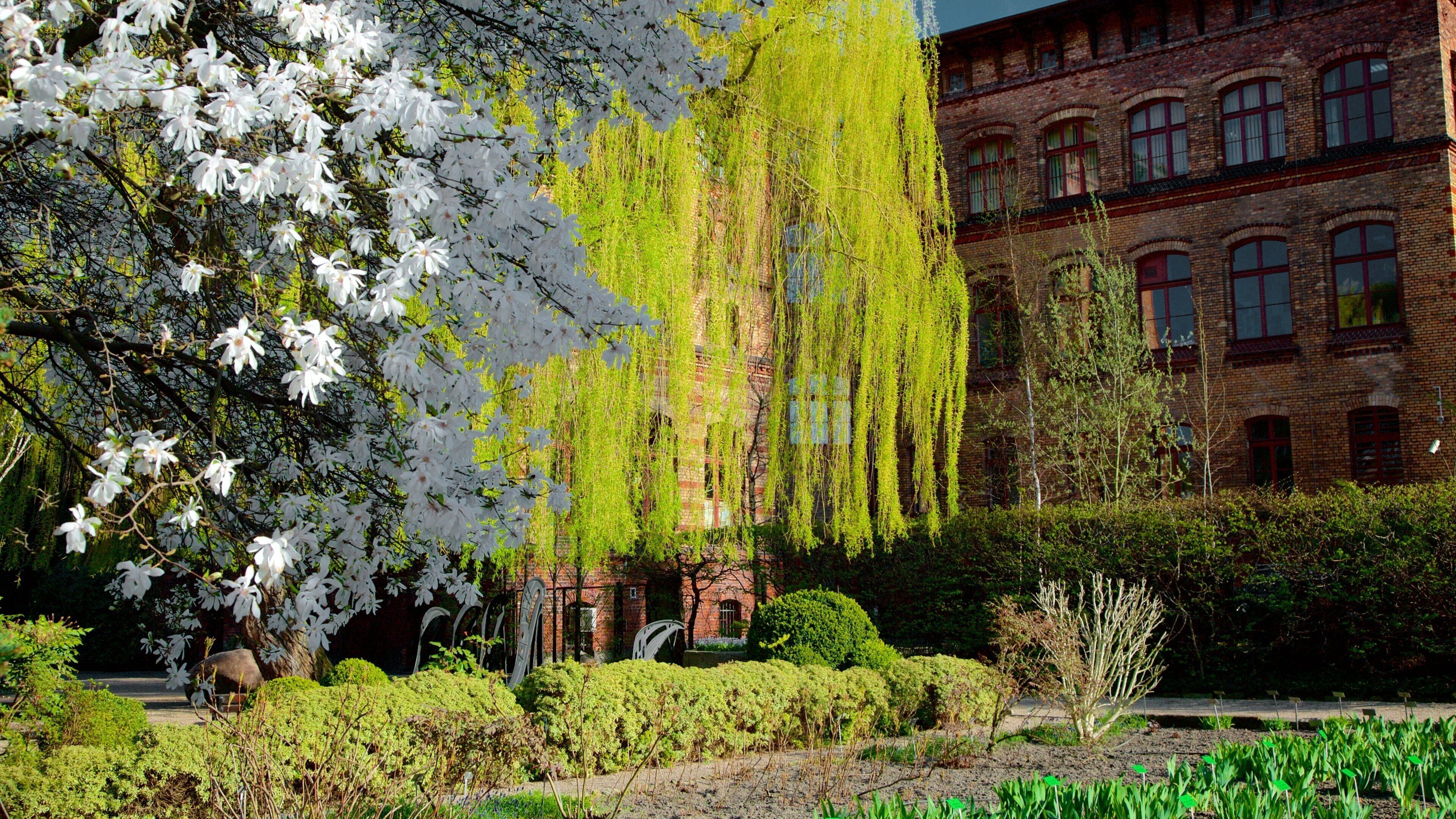 Botanical Gardens das einen Garten