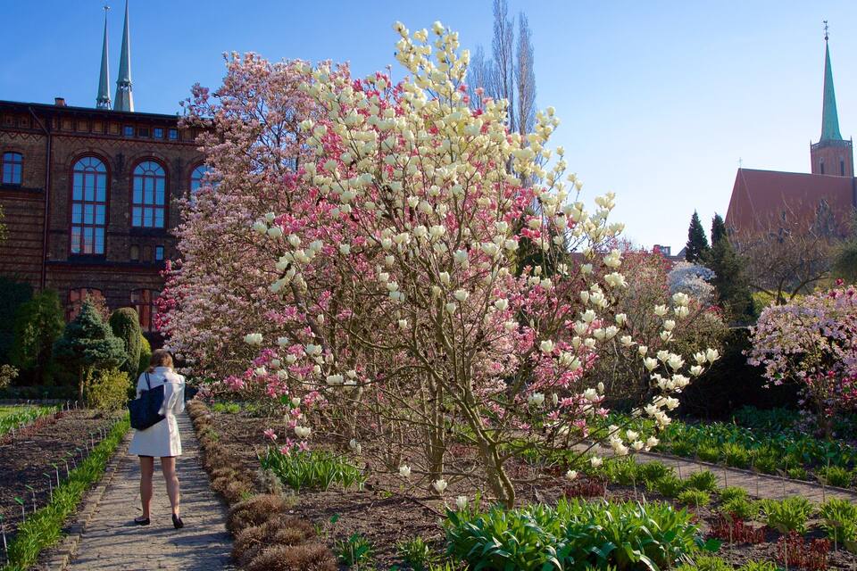 A garden with blooming trees and a historic building with a spire.
