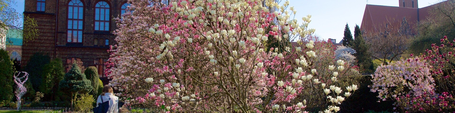 Un jardín con árboles en flor y un edificio histórico con una aguja.