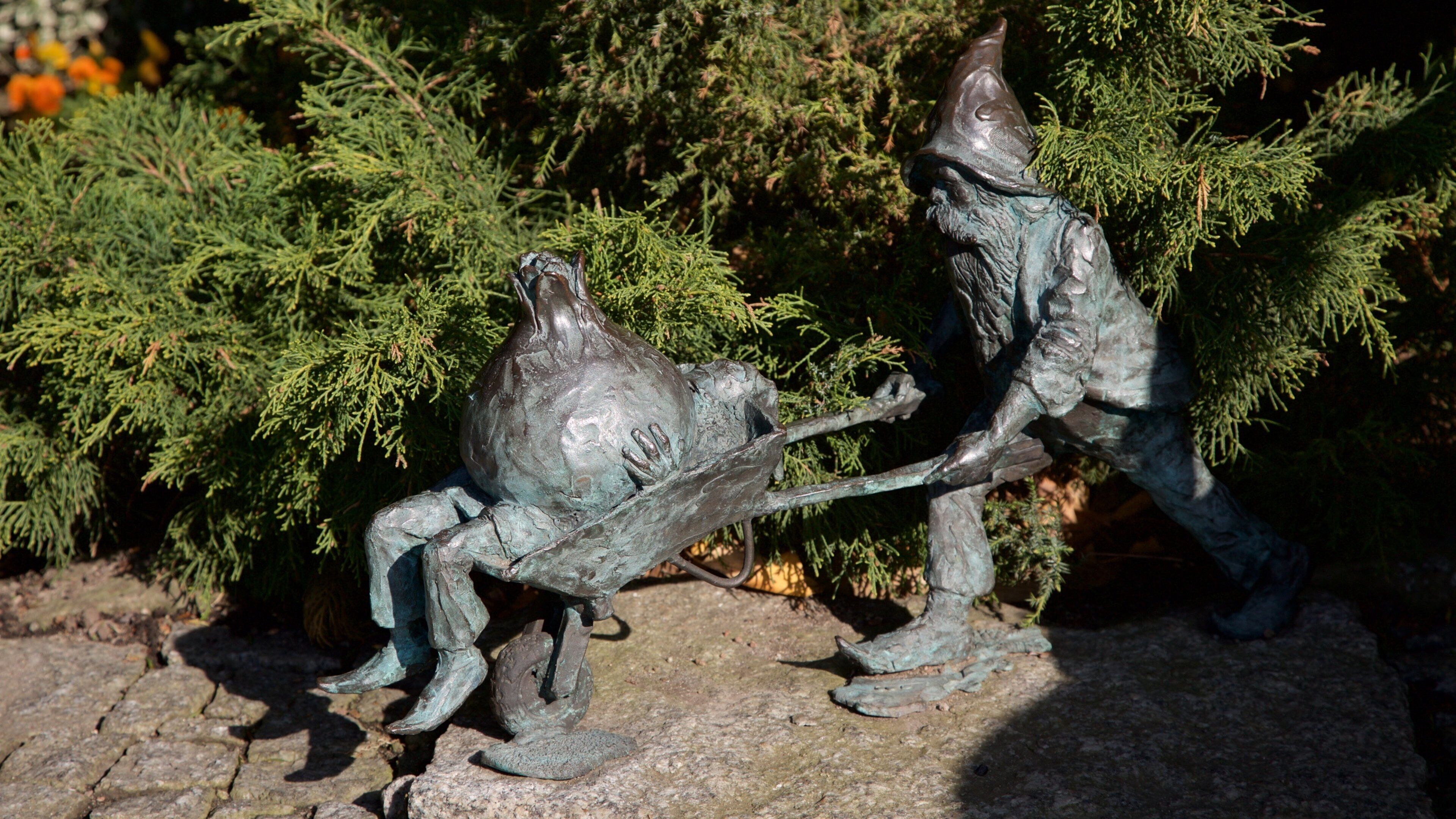 Botanisk hage fasiliteter samt statue eller skulptur og park