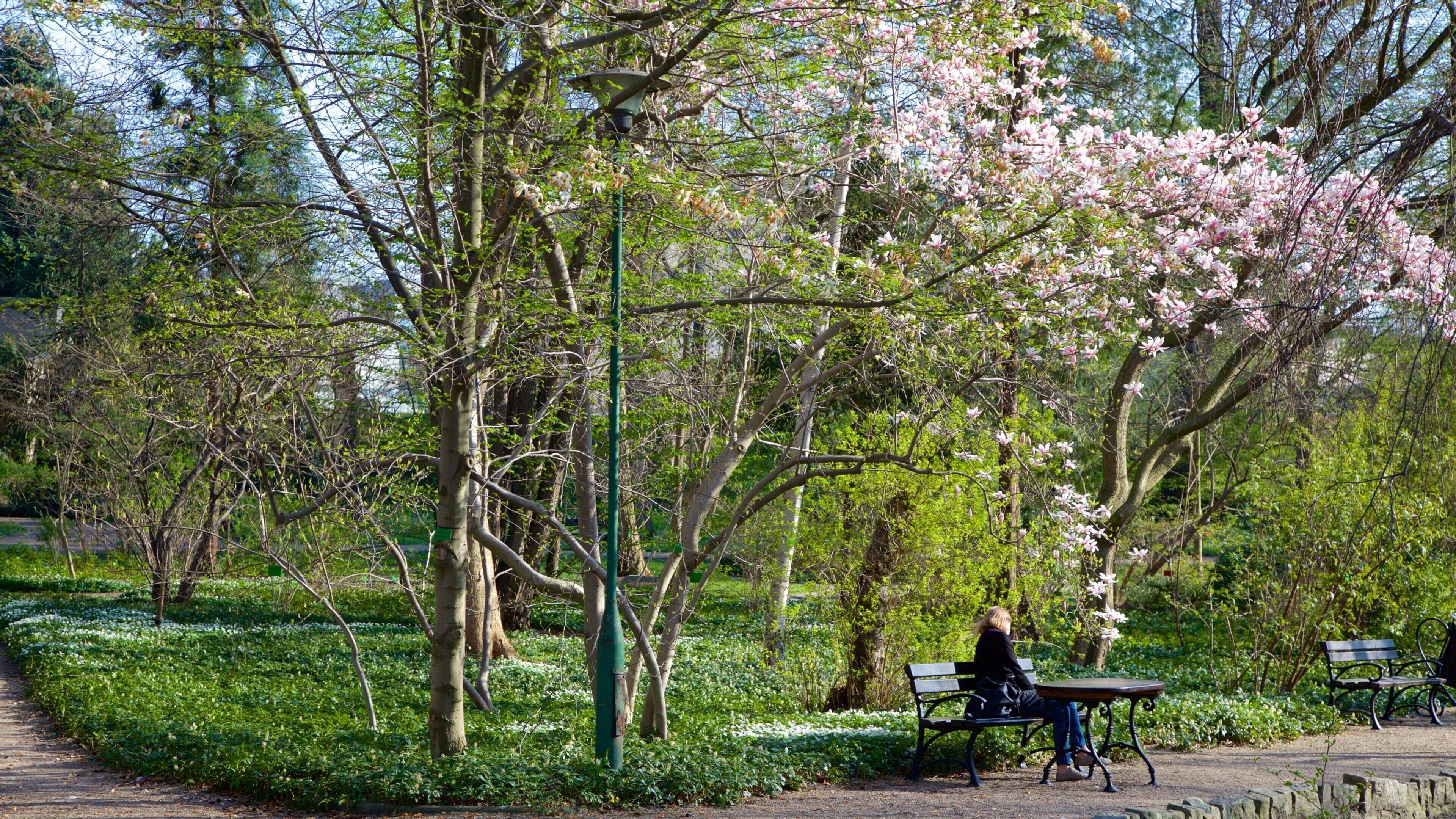 Botanical Gardens das einen Garten