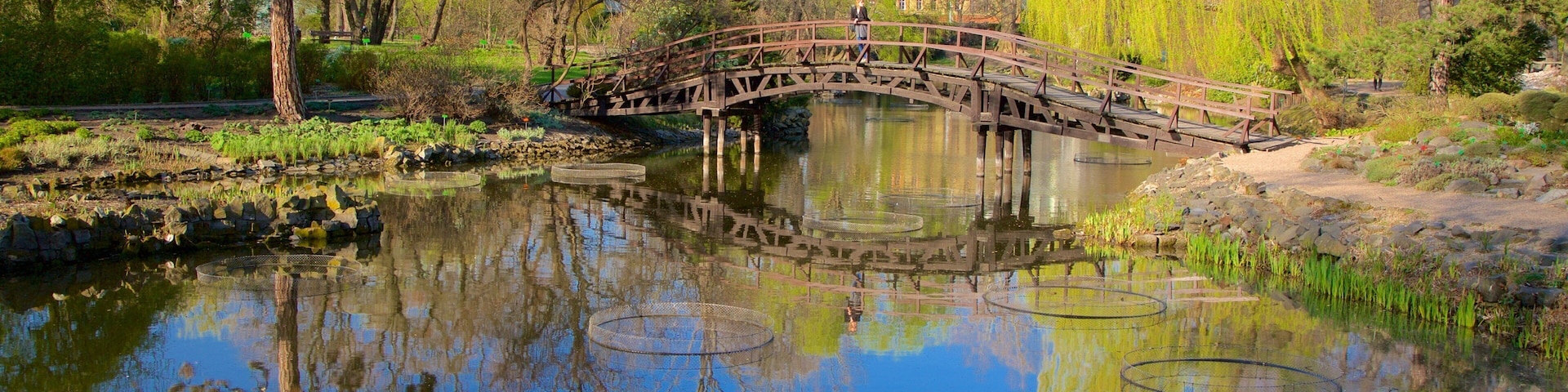 Jardim Botânico mostrando um jardim e um lago
