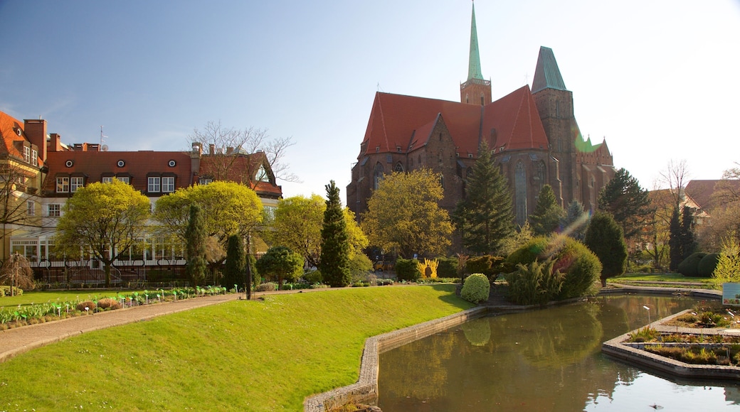 植物園 其中包括 池塘 和 花園