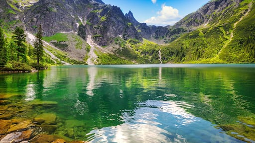 Bukowina Tatrzanska