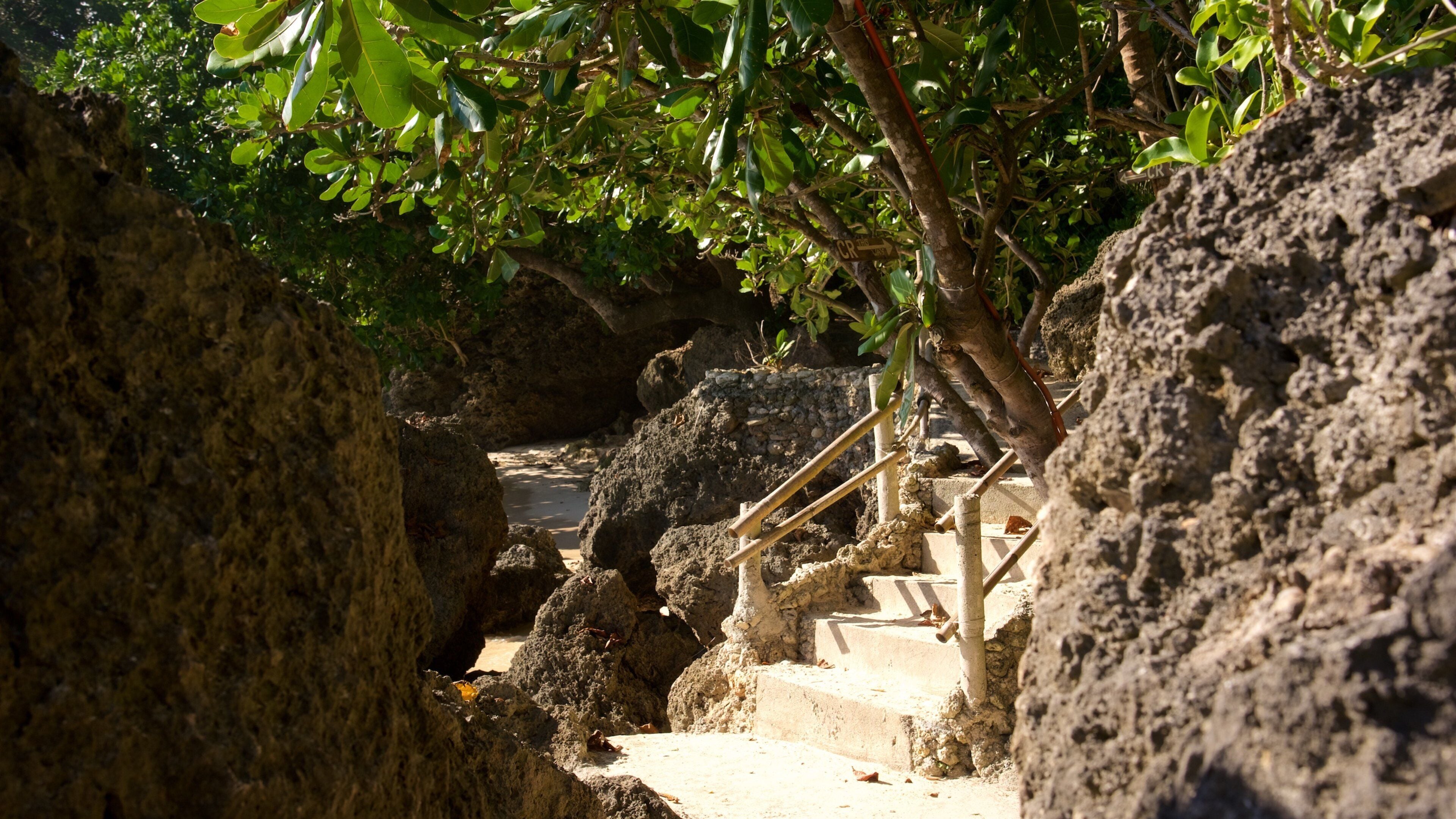 Playa de Balinghai ofreciendo escenas tropicales y una playa