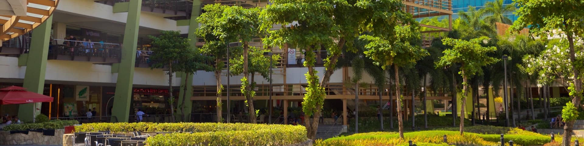 A modern building with a wooden structure and green walls, surrounded by lush greenery and palm trees.