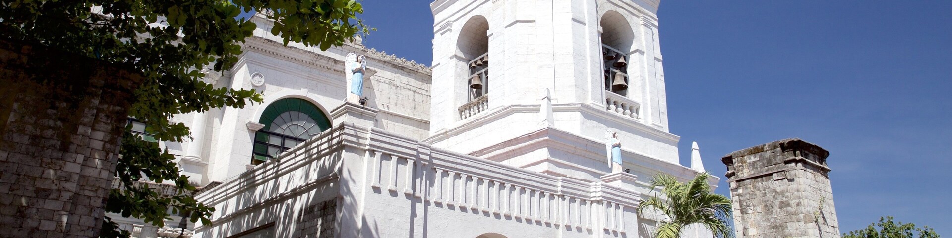 Cebu Metropolitan Cathedral showing heritage architecture, a church or cathedral and religious elements
