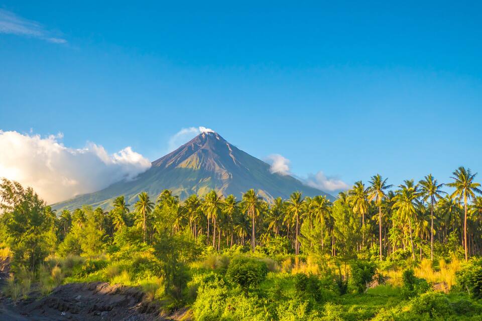 A volcano with a clear sky, surrounded by dense palm trees and lush greenery.