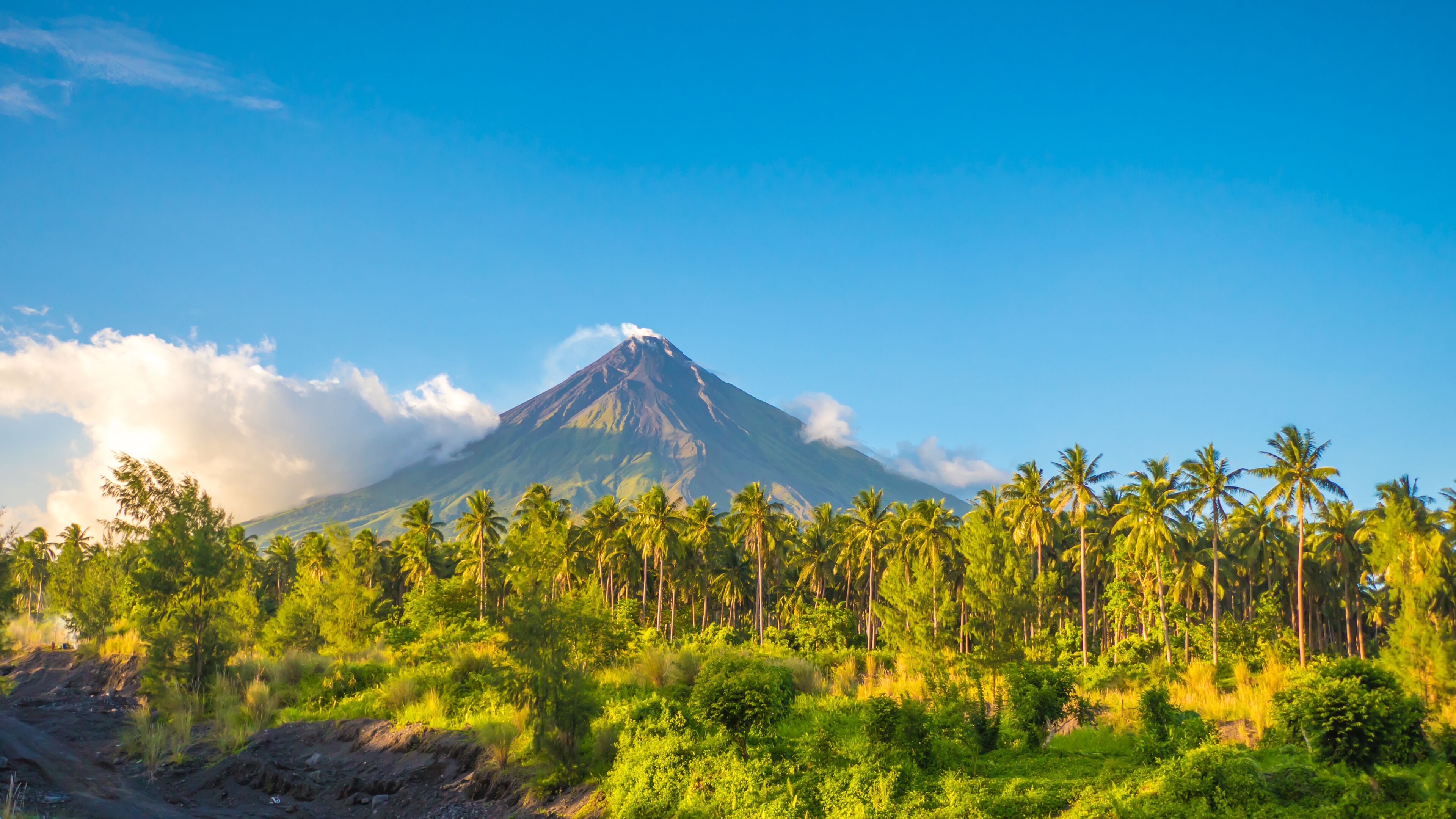 A volcano with a clear sky, surrounded by dense palm trees and lush greenery.