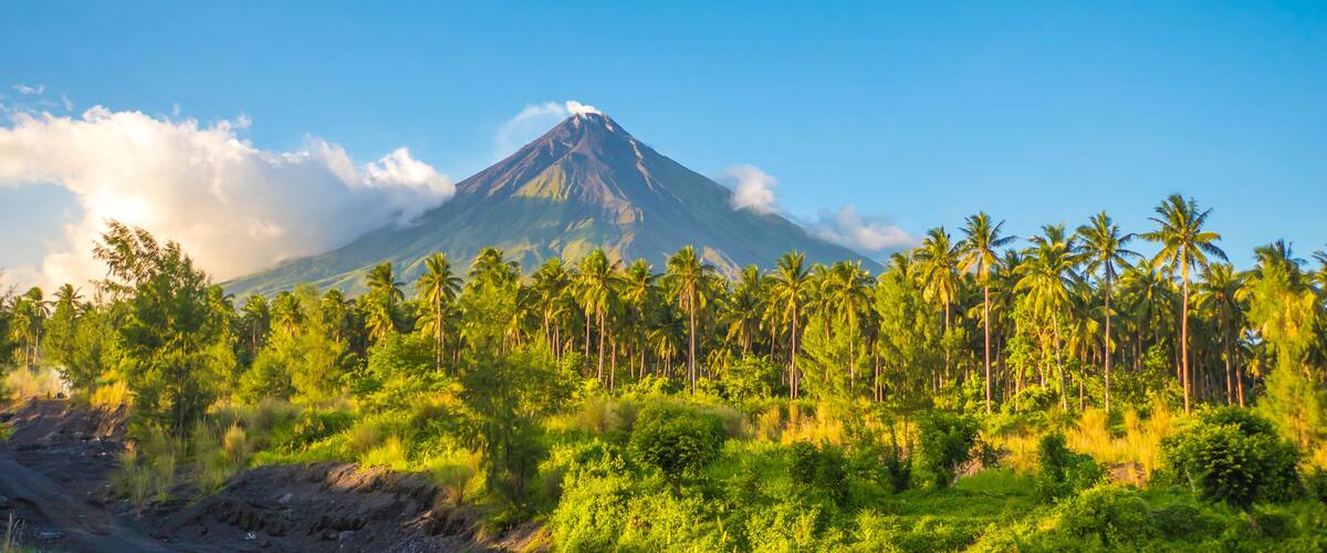 A volcano with a clear sky, surrounded by dense palm trees and lush greenery.