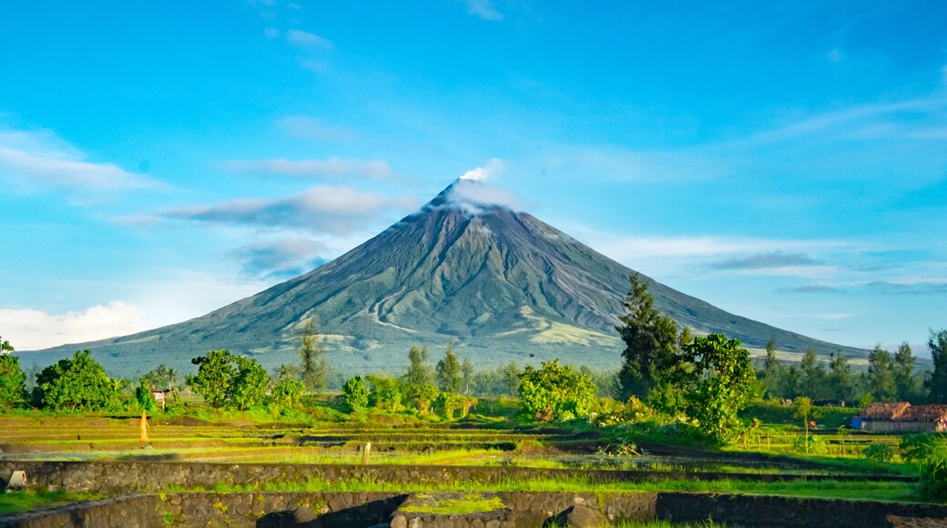 Bicol