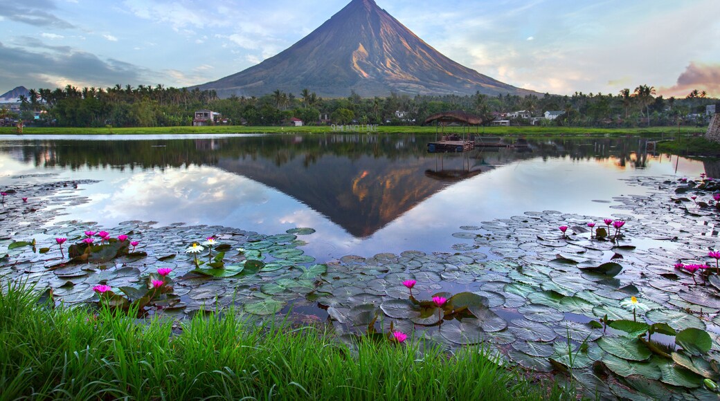 Mayon volcano at early morning,Philippines; Shutterstock ID 612104084; Purchase Order: -
