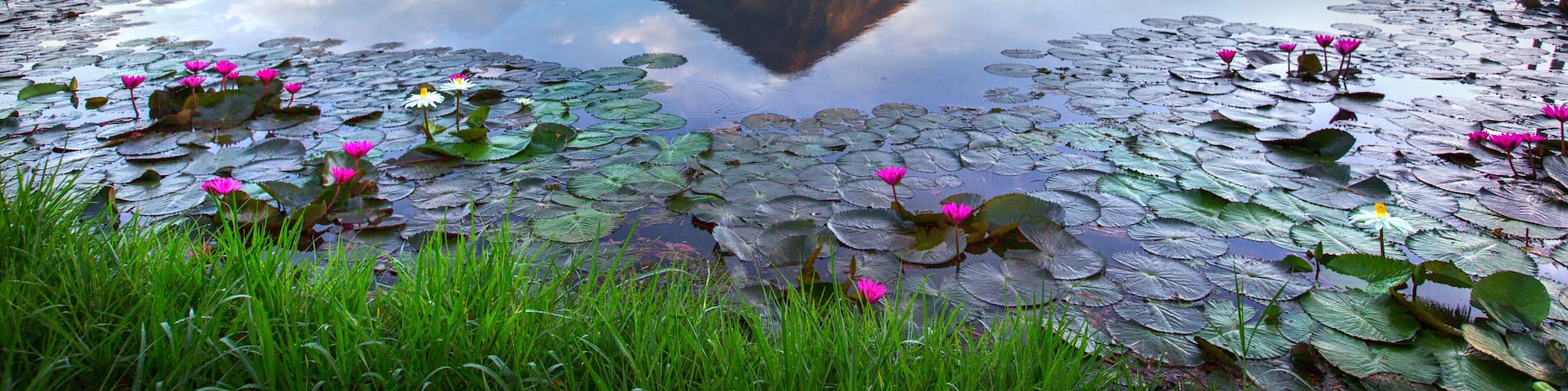 Mayon volcano at early morning,Philippines; Shutterstock ID 612104084; Purchase Order: -