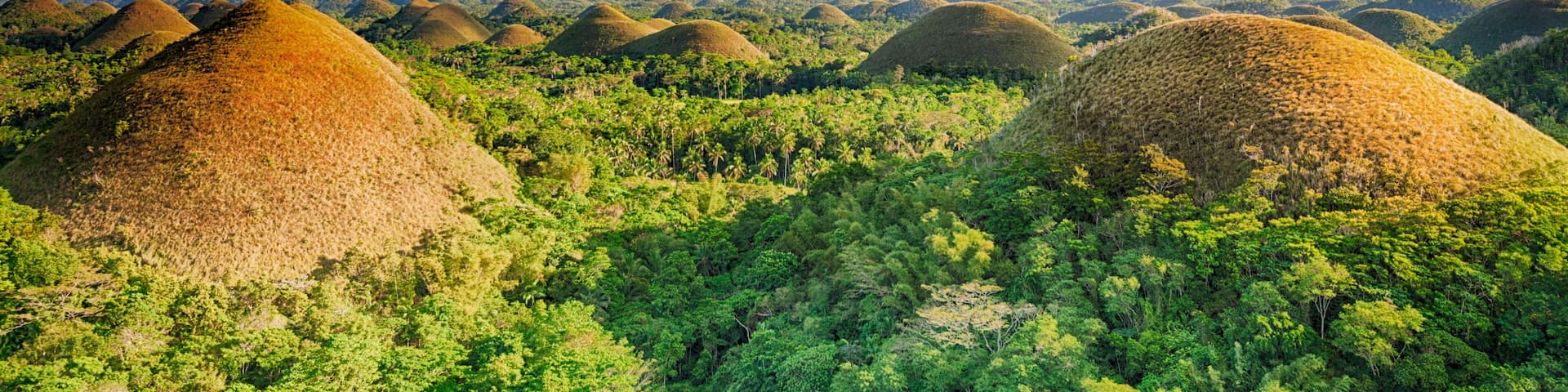 Chocolate Hills