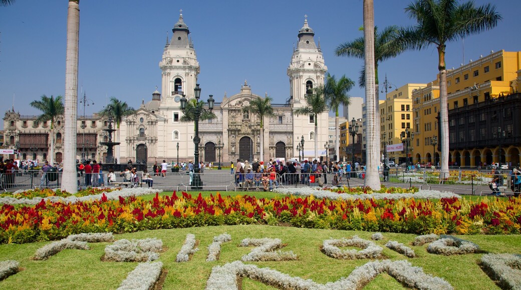 Plaza Mayor showing flowers and a garden