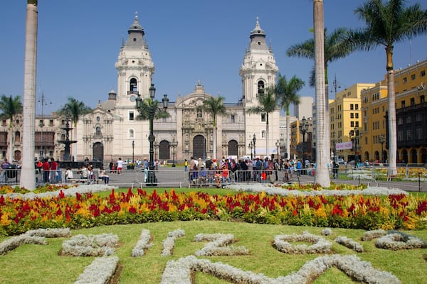 Plaza Mayor which includes a park and flowers