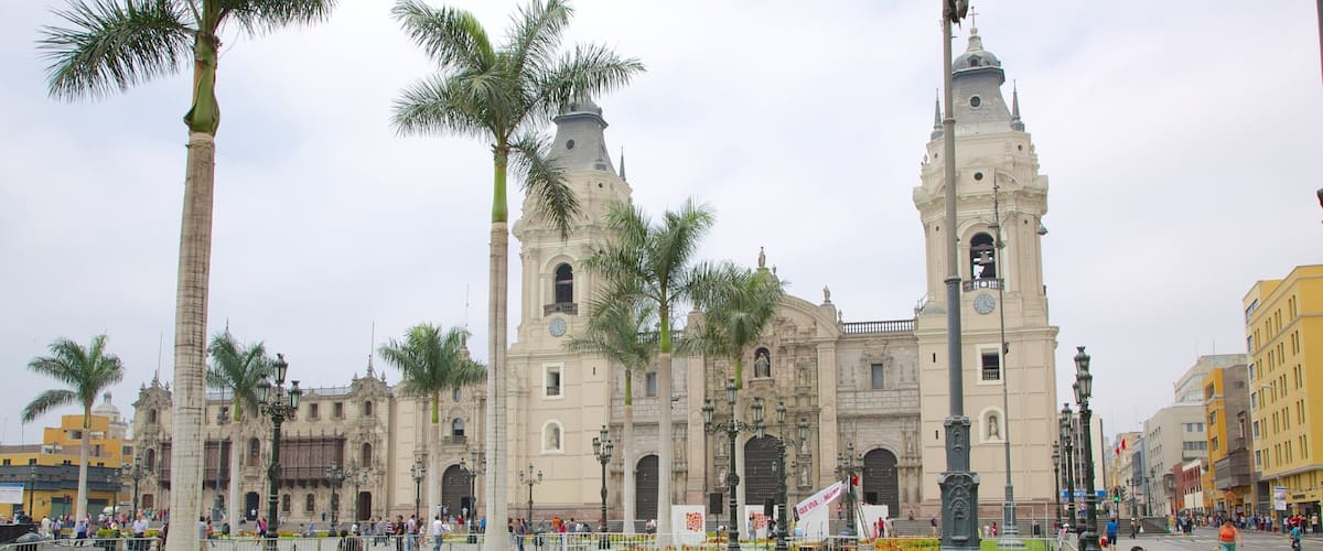 Plaza Mayor featuring flowers and a park