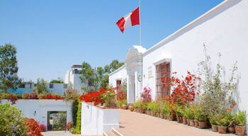 Museo Larco ofreciendo jardín y flores