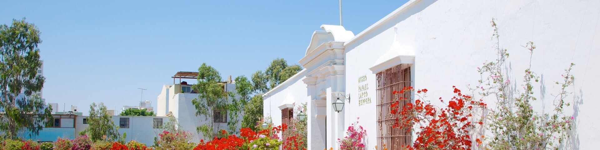 Larco Museum which includes a park and flowers