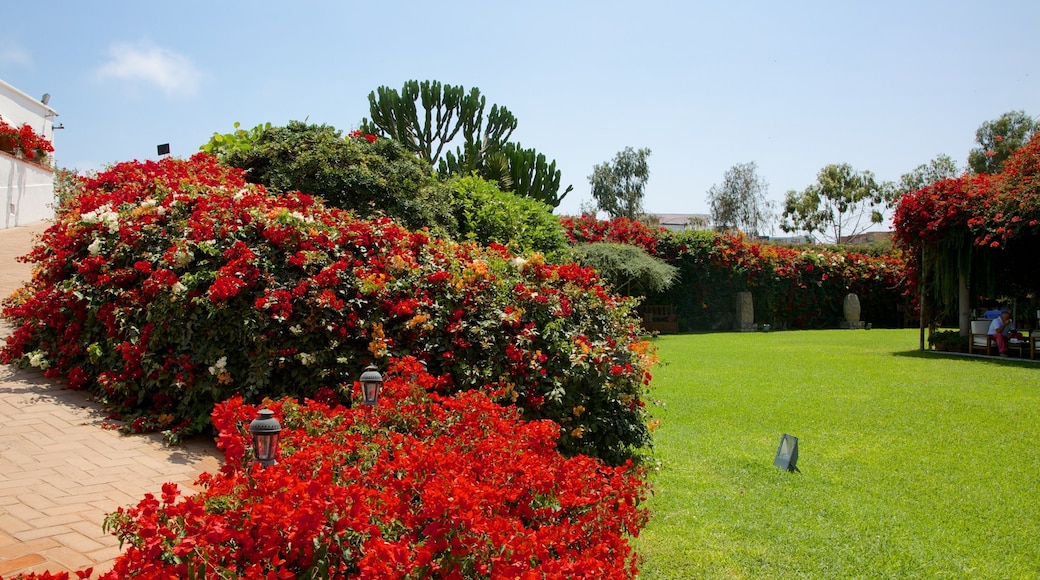 Larcomuseet som inkluderar en trädgård och blommor