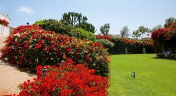Larco Museum showing a garden and flowers
