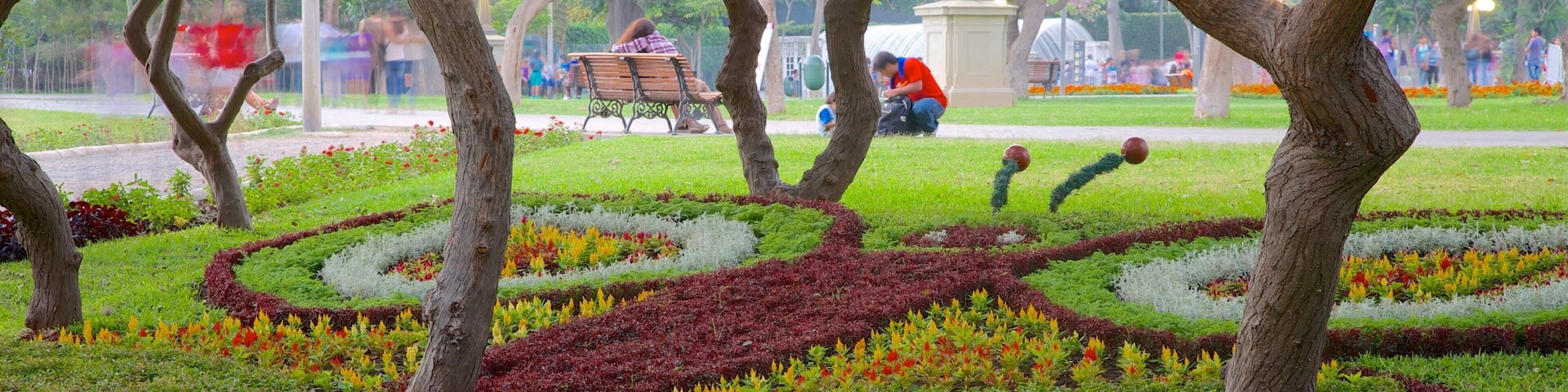 Parque de Exposiciones que incluye un jardín, flores salvajes y flores