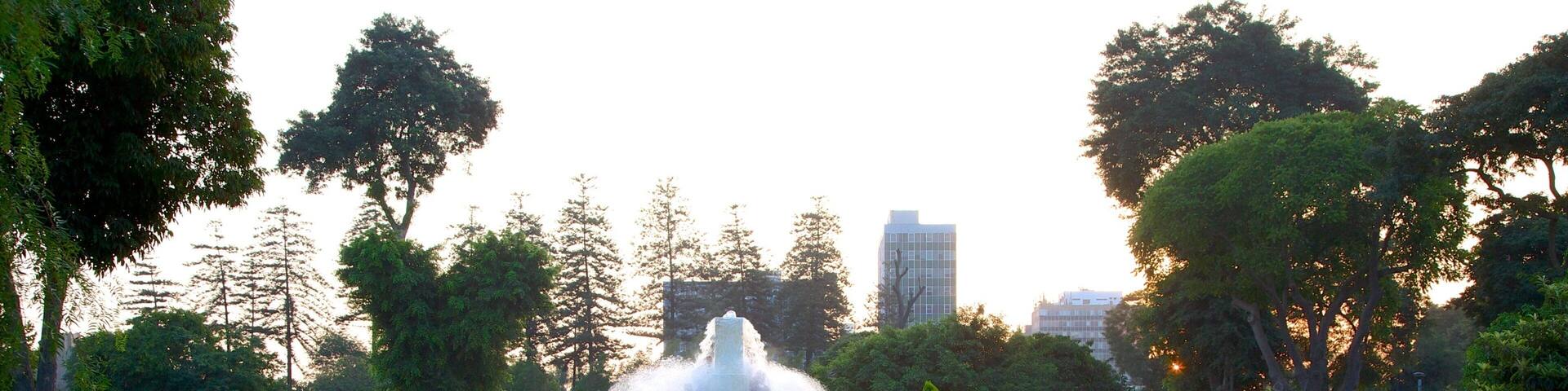 A park with a fountain, green lawns, trees, and a building in the background.
