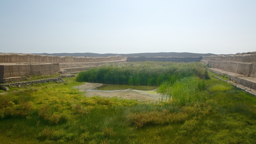 Chan Chan mostrando vistas de paisajes