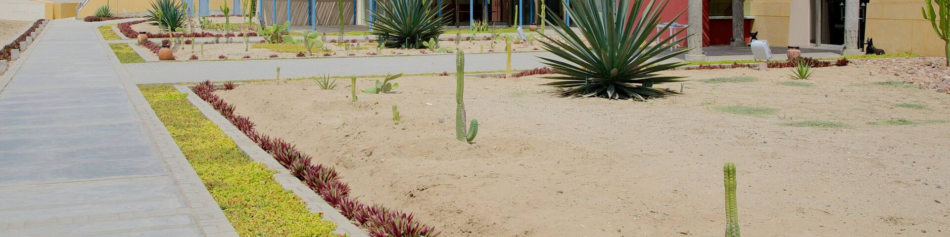 Huaca de la Luna which includes street scenes
