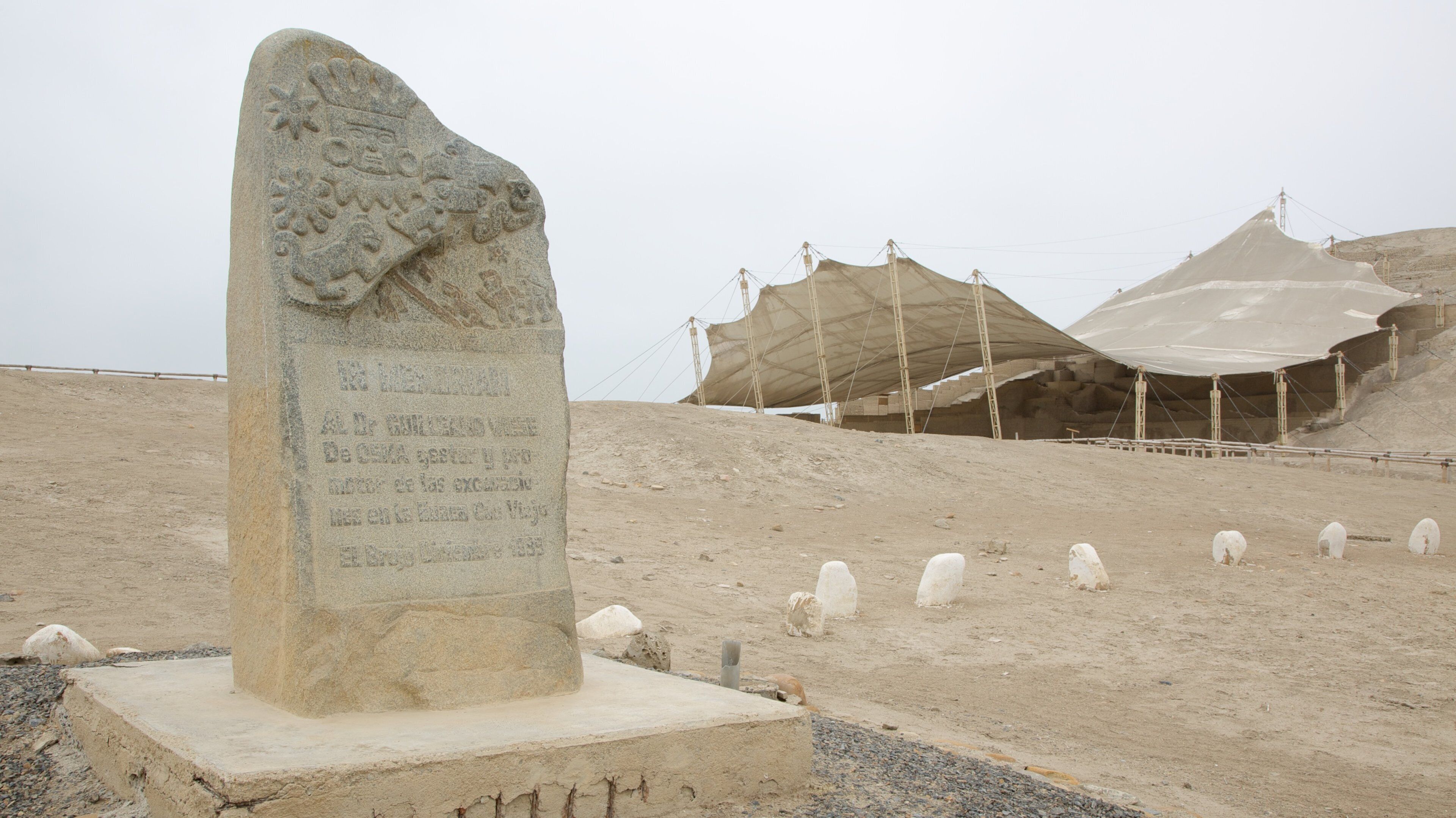 ์ ๋ธ๋ฃจํธ ์ด ํฌํจ ์ ํธ