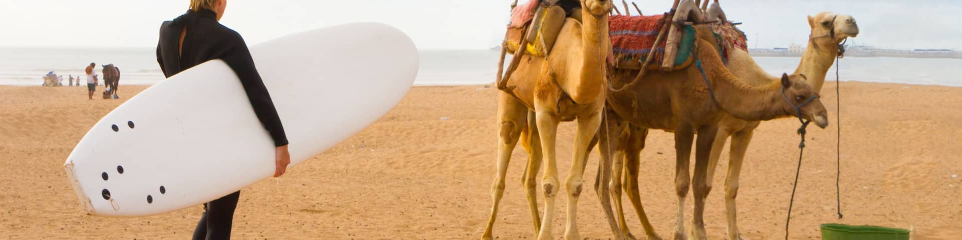 Female surfer and camels at the beach of Essaouira, Morocco, Africa. ; Shutterstock ID 207929605; Purchase Order: -