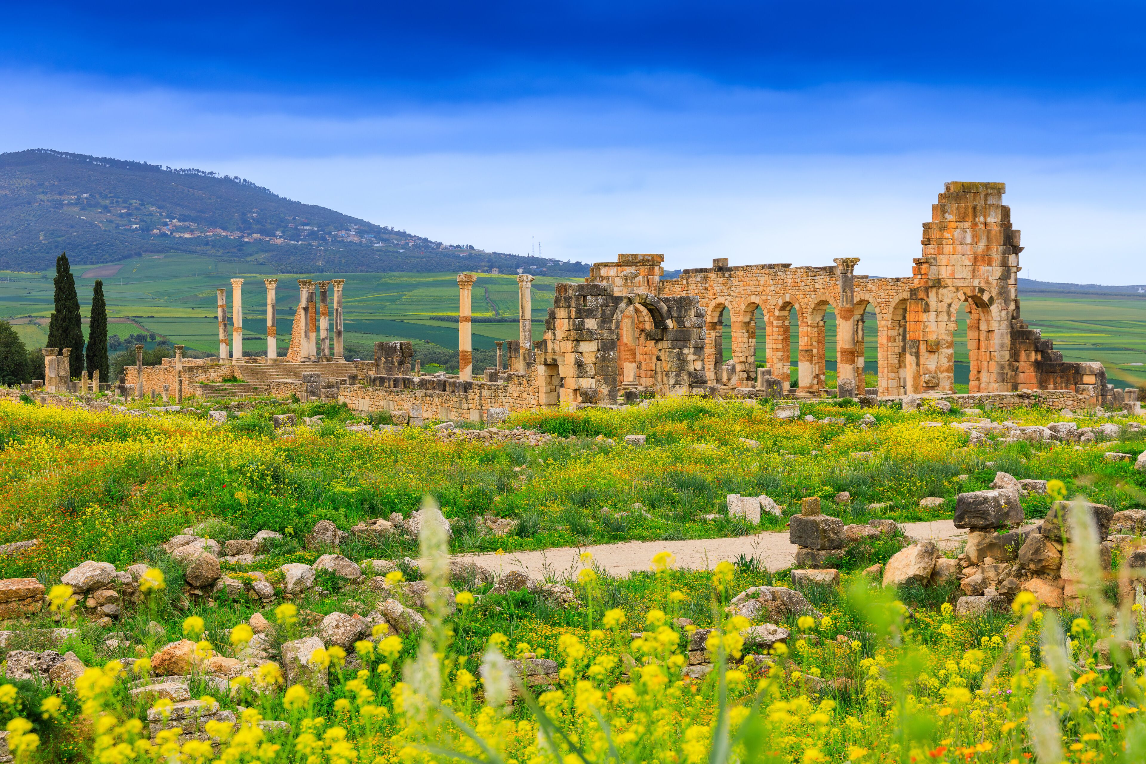 Volubilis (site archéologique)